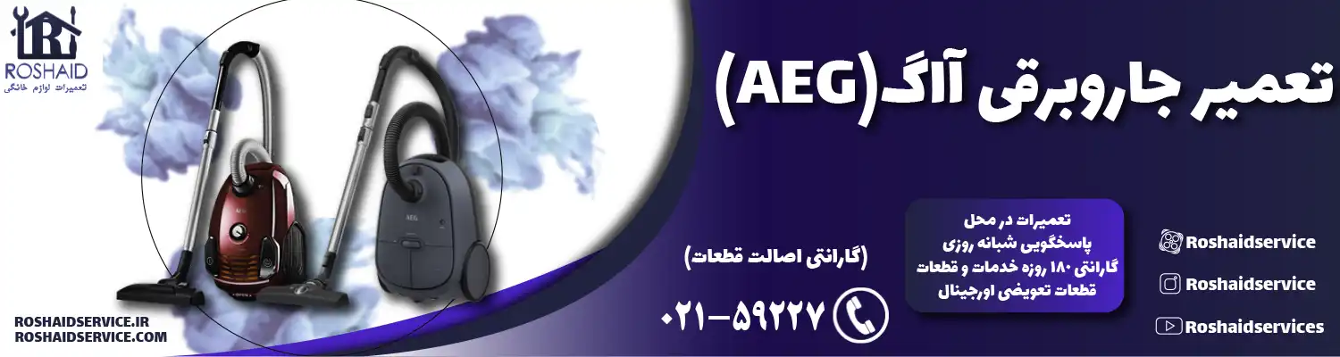 تعمیر جاروبرقی آاگ ( AEG )